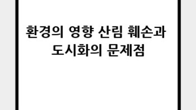 자연 재해 사례 연구: 지형, 기후, 환경의 영향 분석
